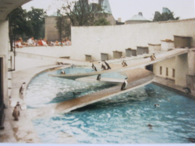 Lubetkin Penguin Pool