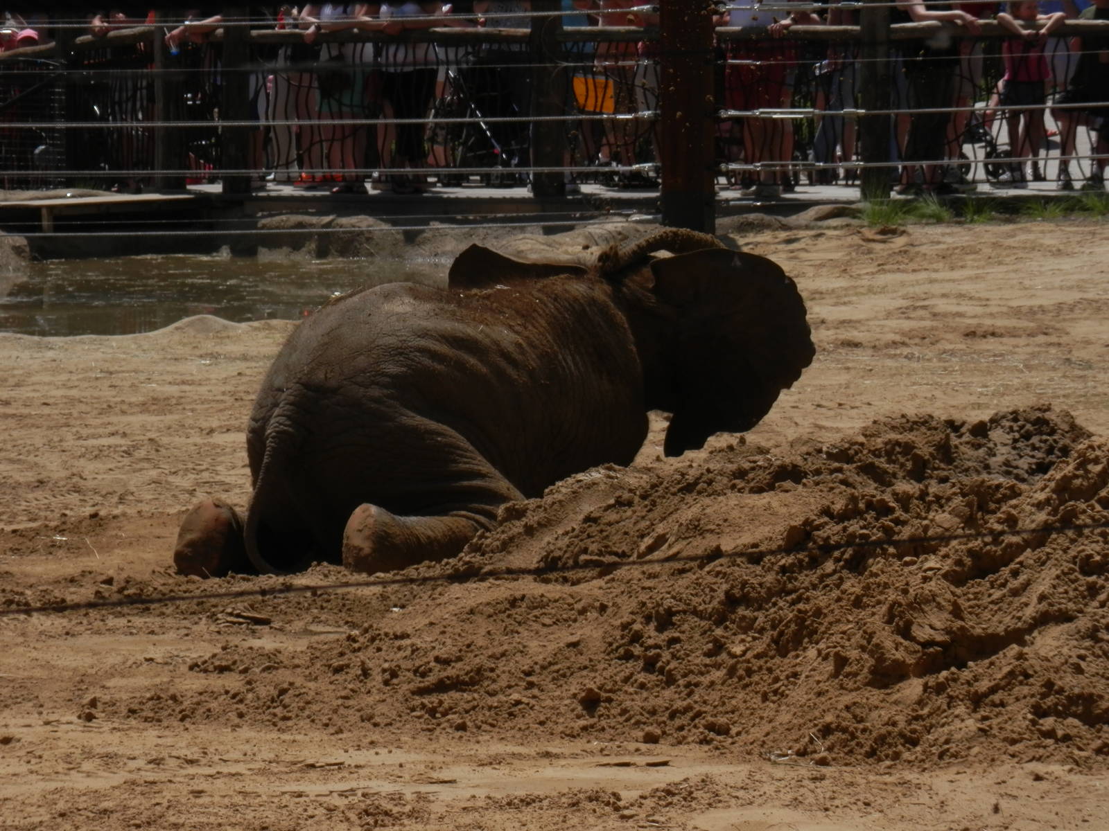 Lucas bowing for his preformance ;)
