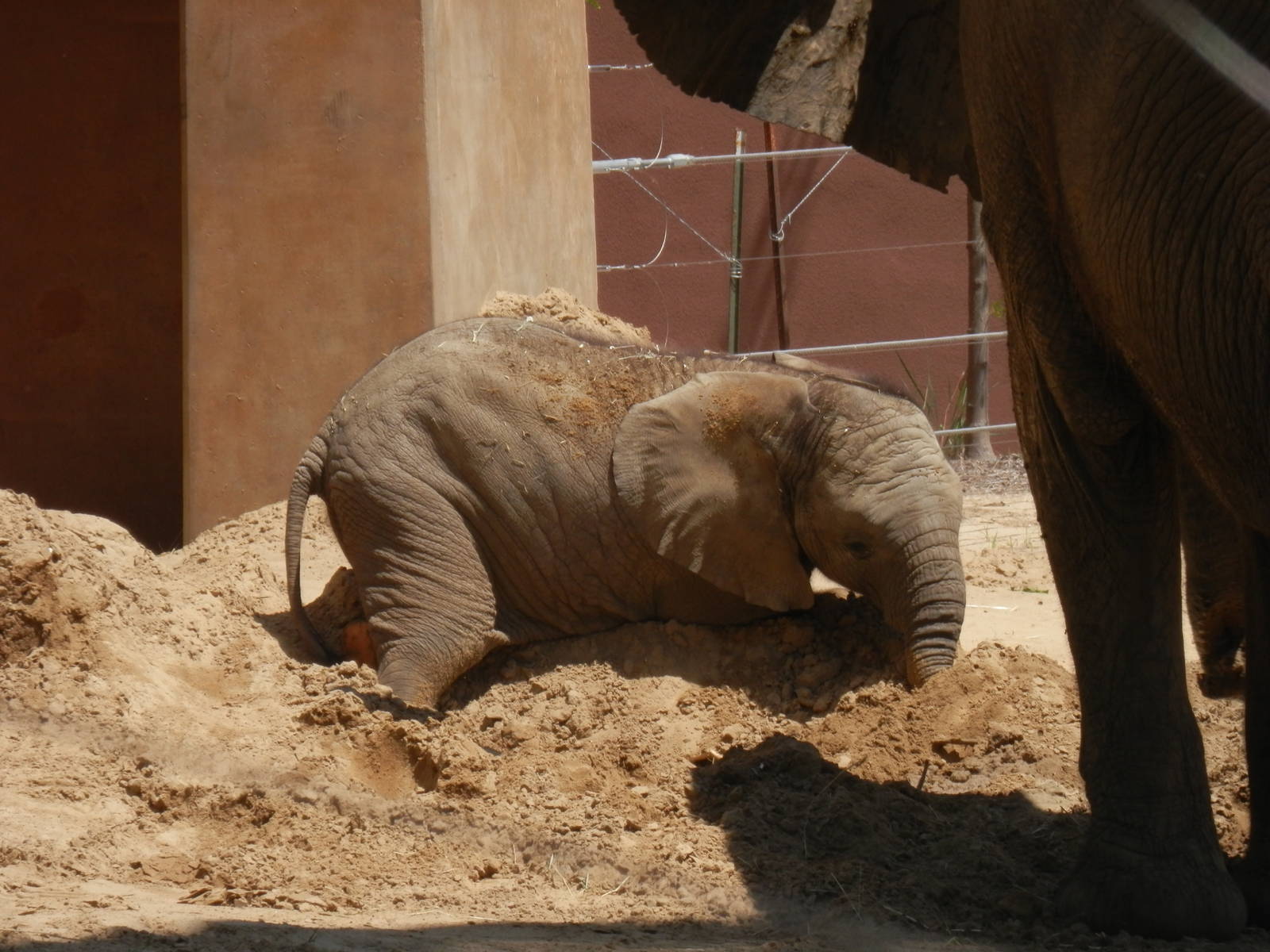 Lucas loves his sand piles!