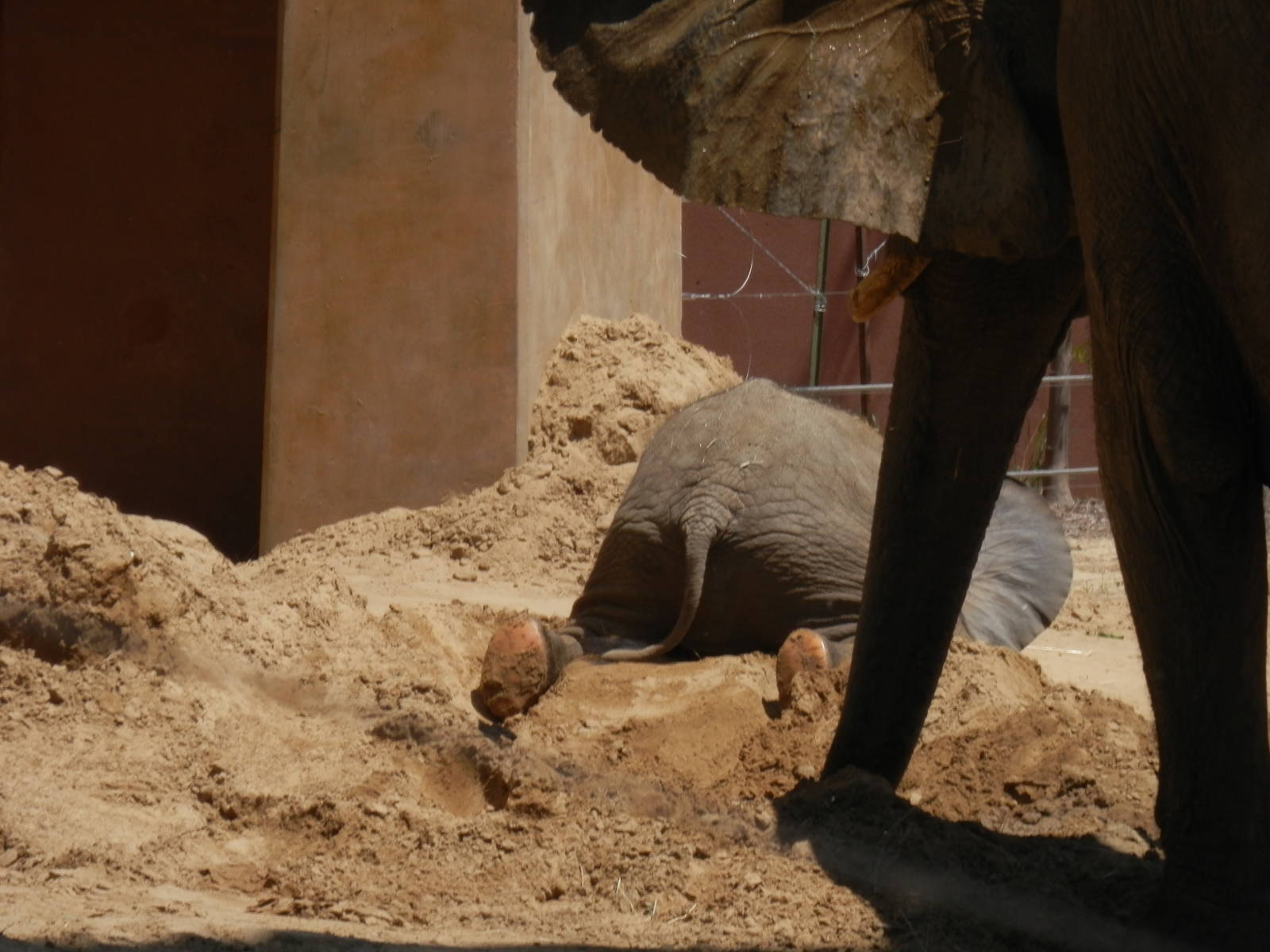 Lucas loves his sand piles