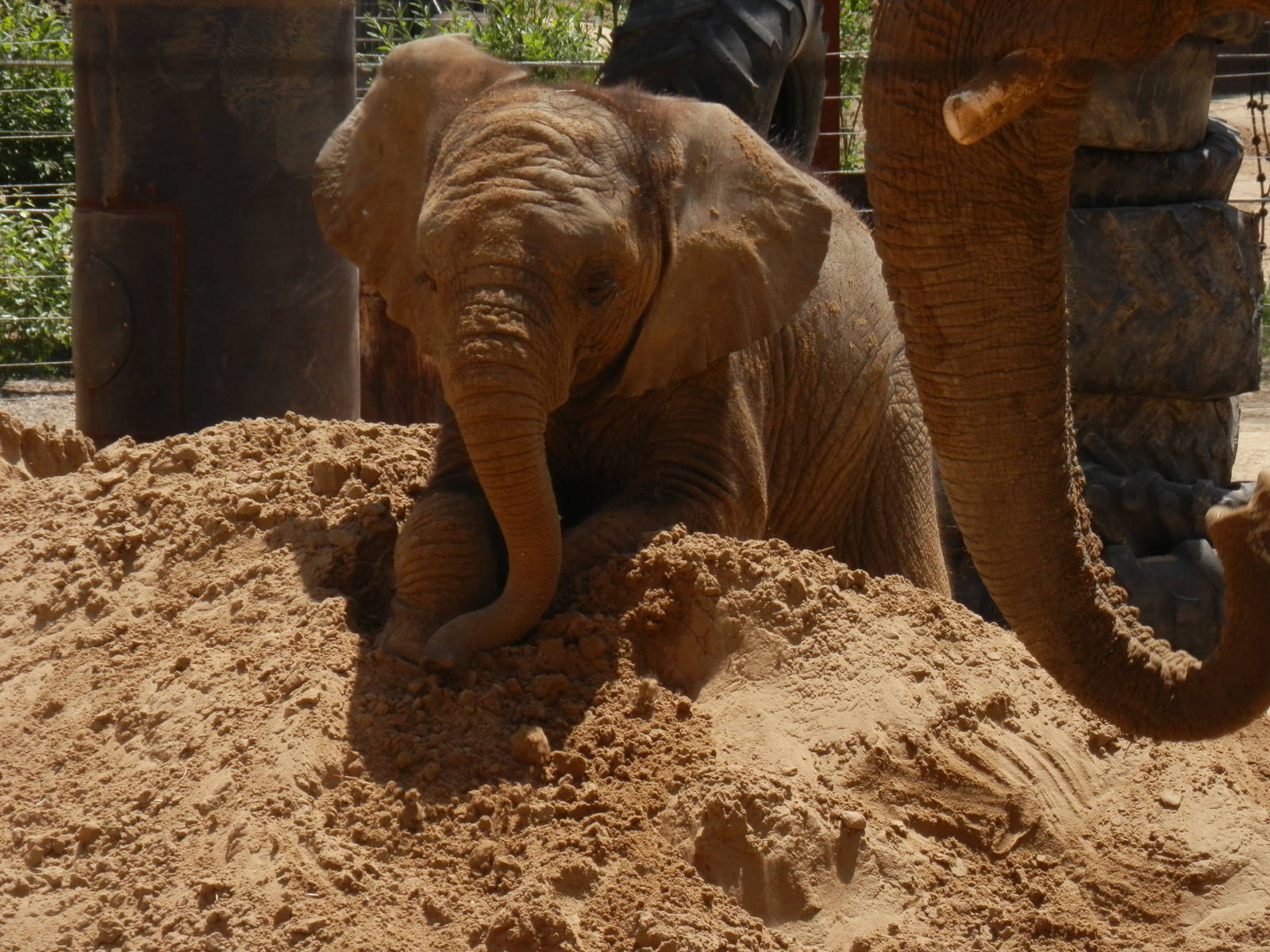 Lucas loves his sand piles