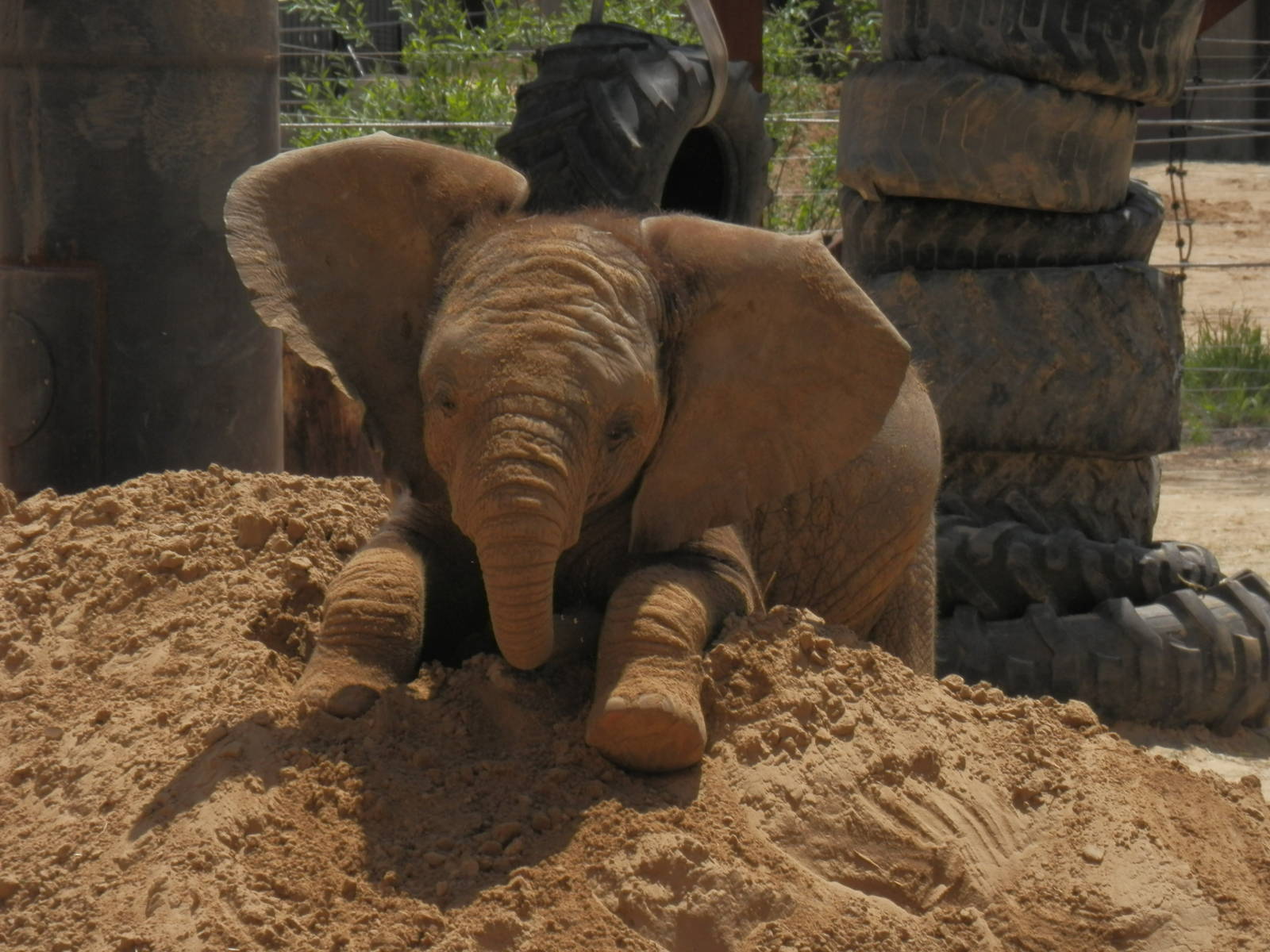 Lucas loves his sand piles
