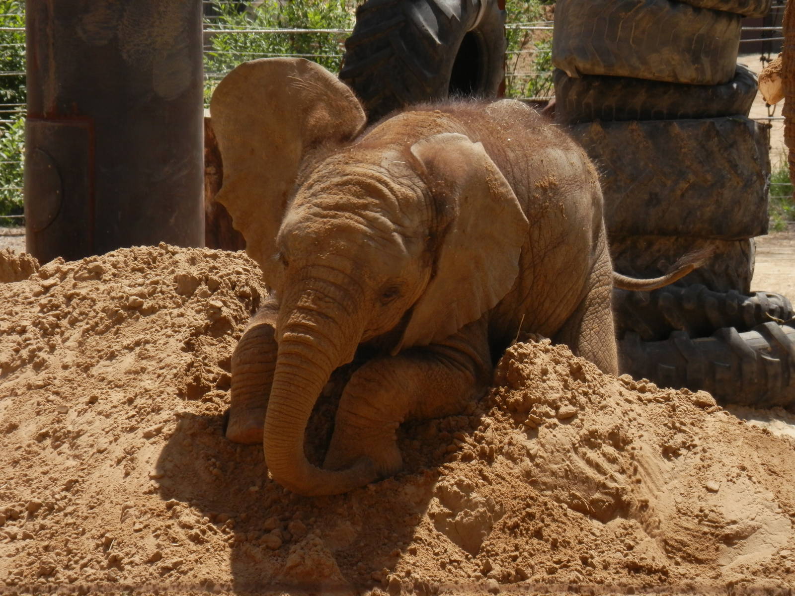 Lucas loves his sand piles