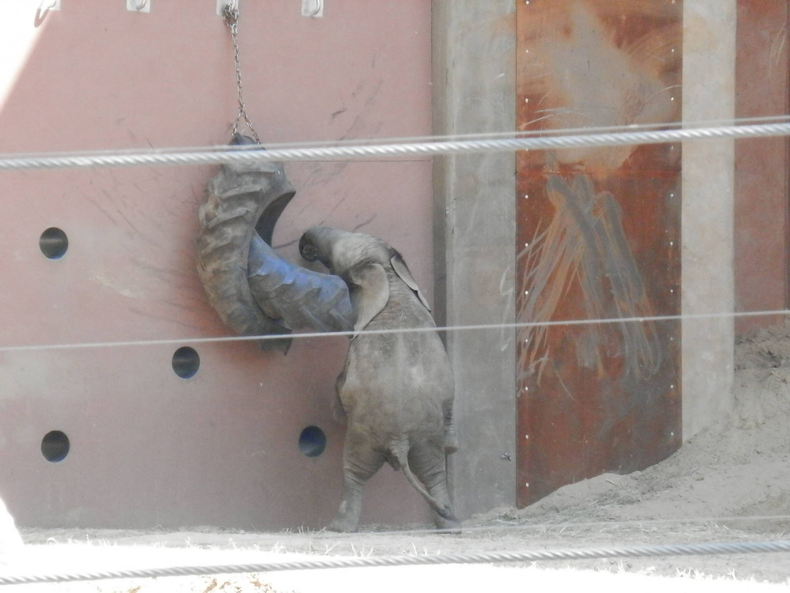 Lucas reaching for more snacks