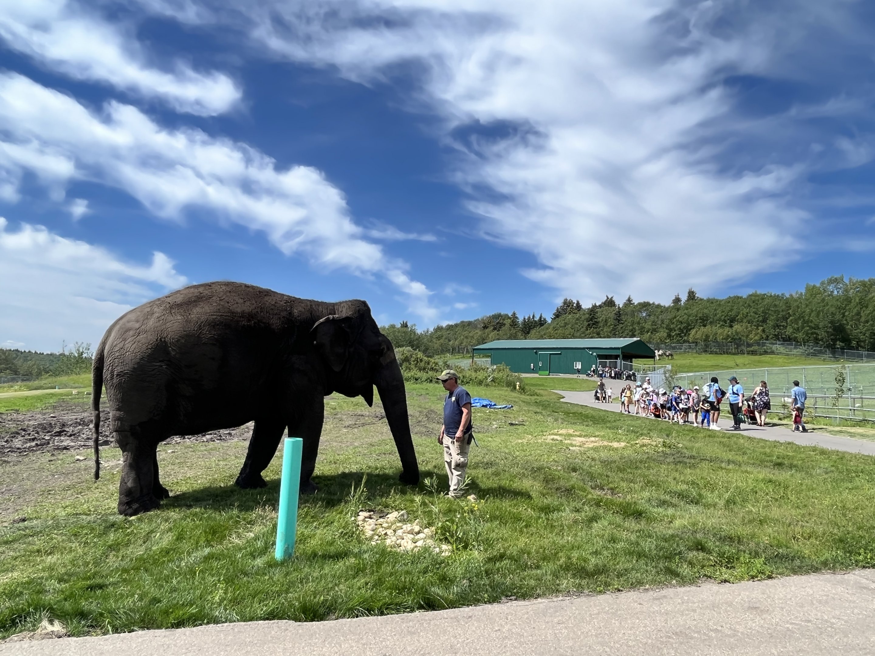 Lucy near summer camp group