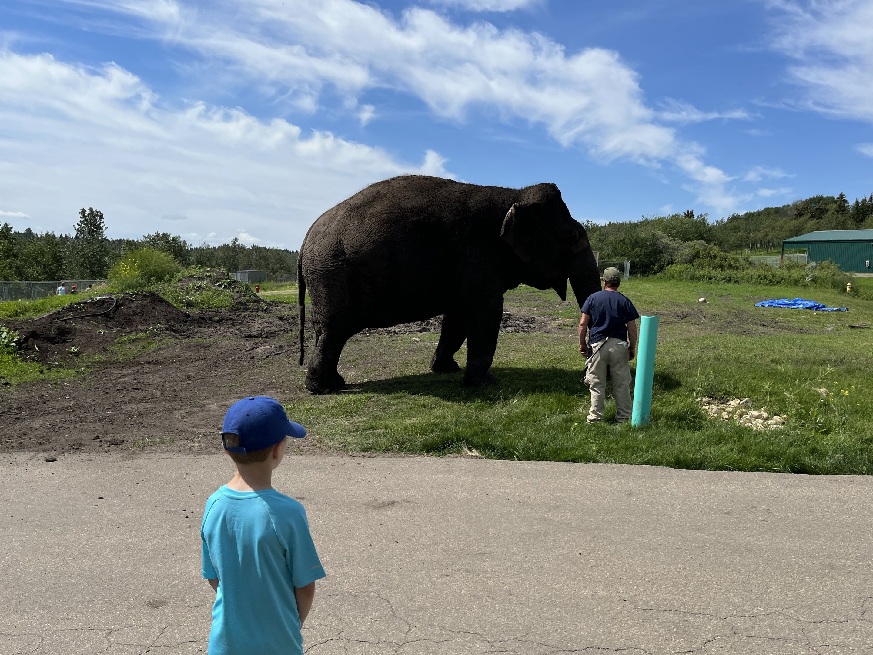 Lucy out for a stroll (close!)