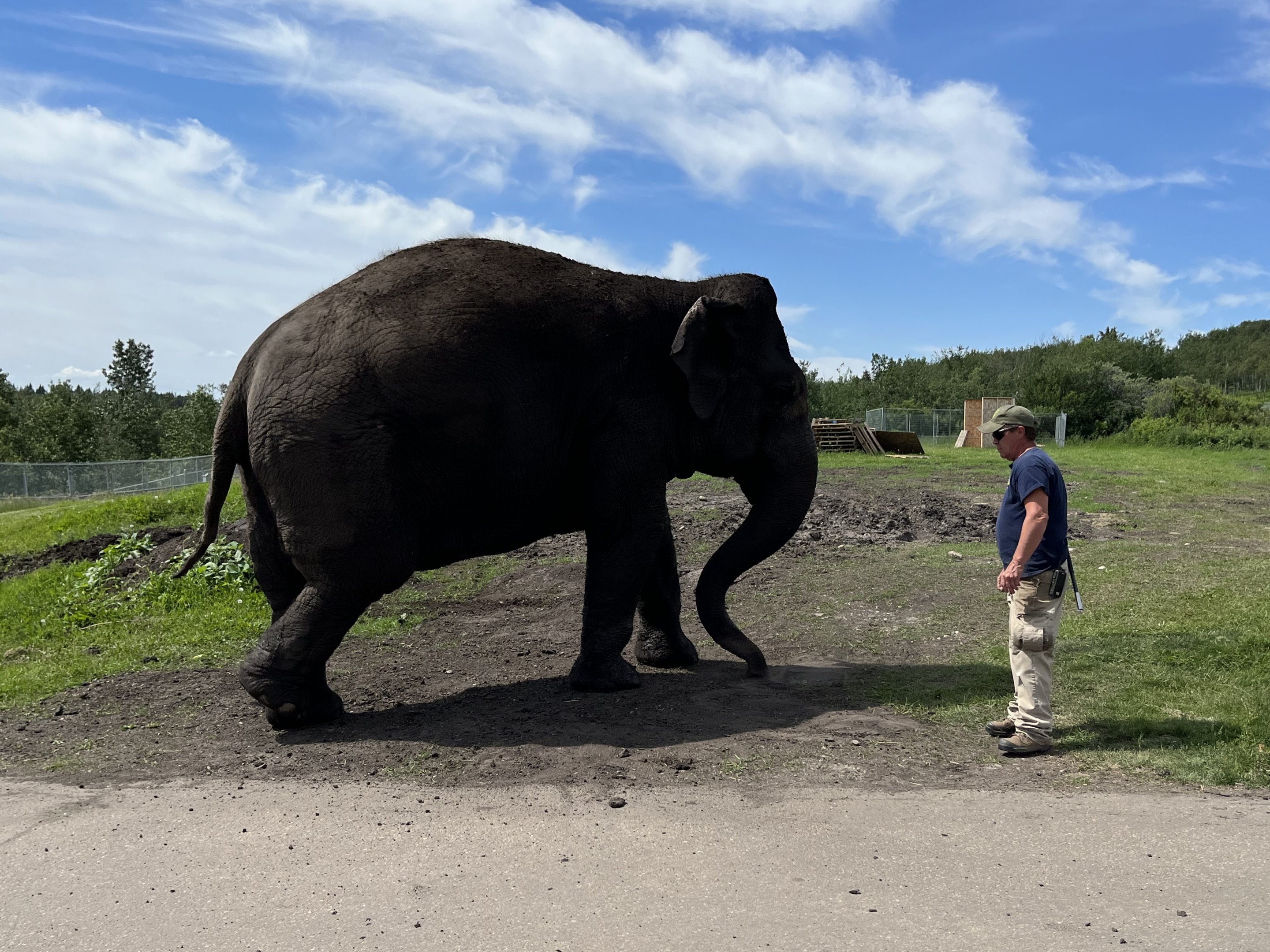 Lucy out for a stroll
