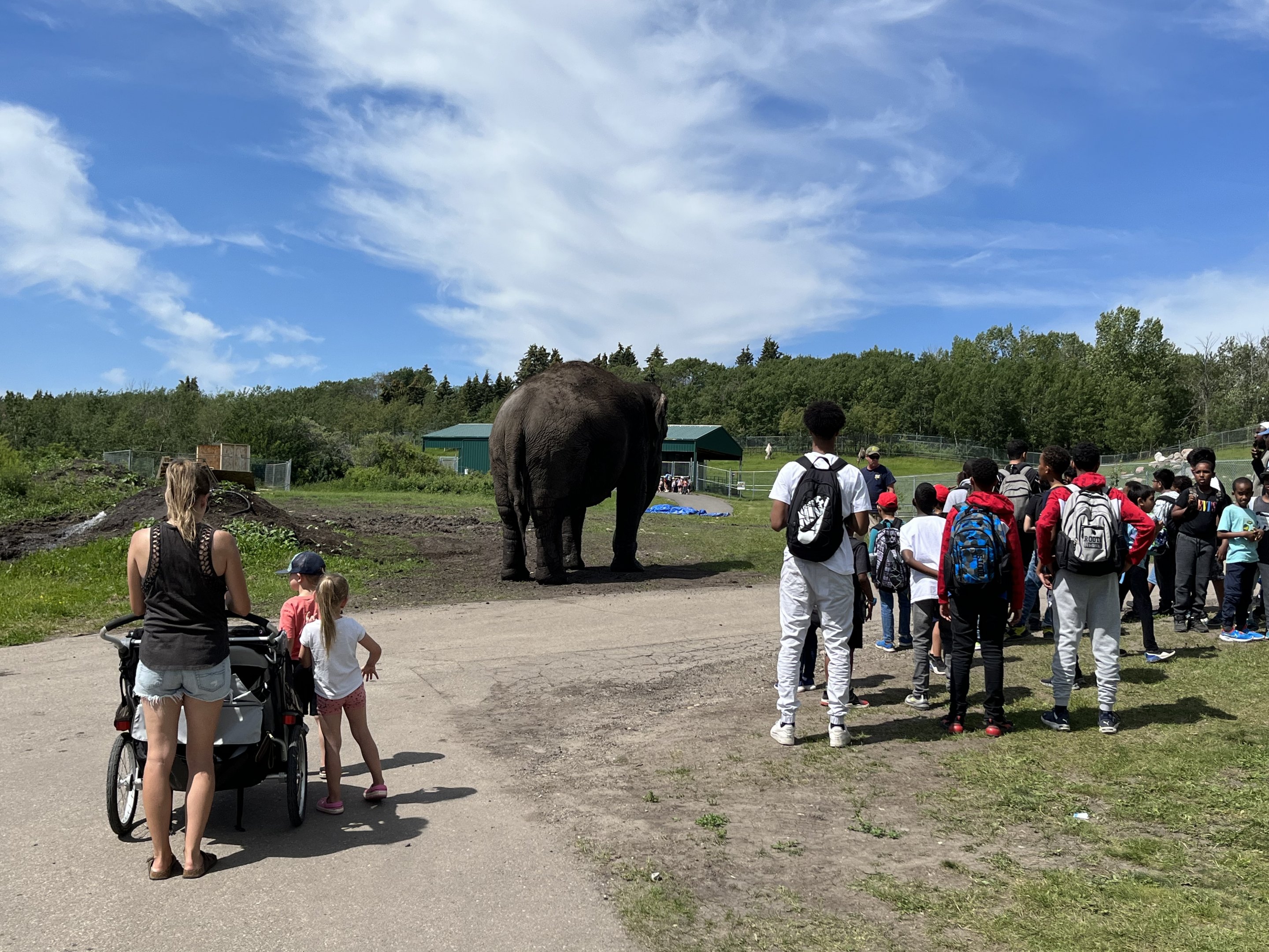 Lucy out for a stroll