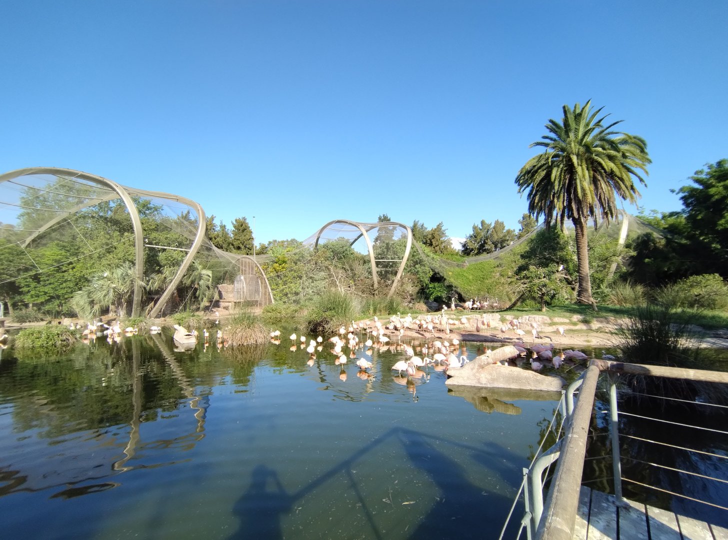 Lugar de las aves overview - Temaiken