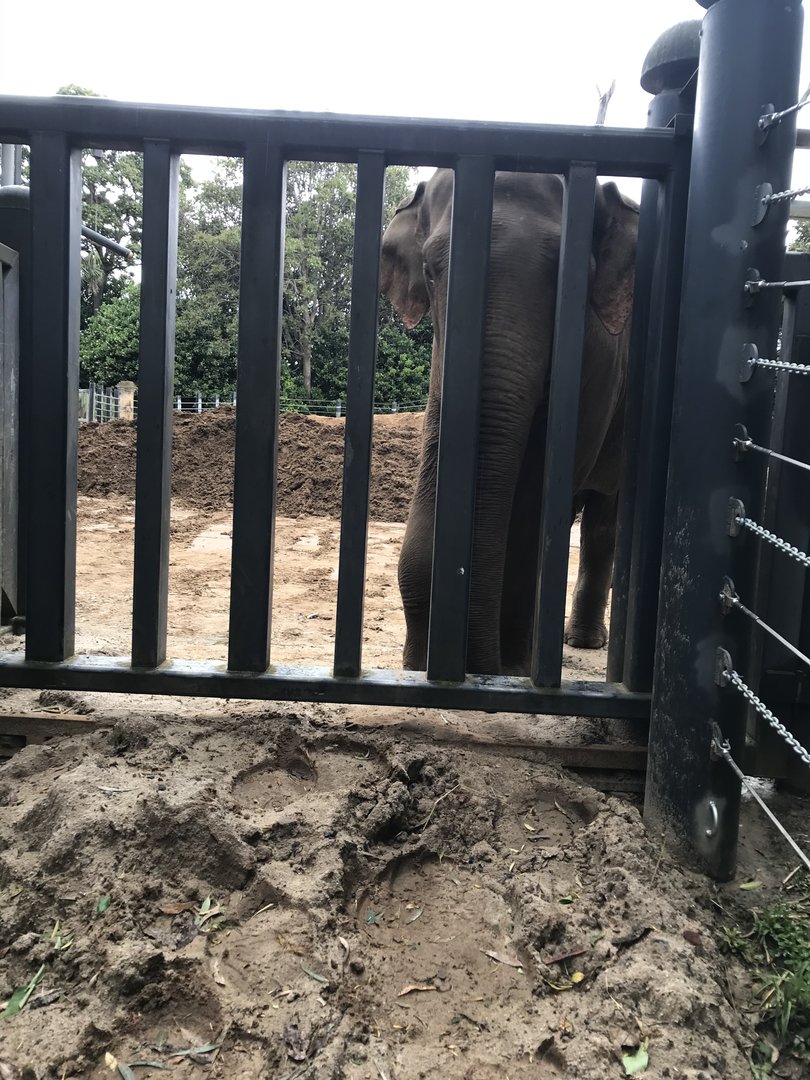 Luk Chai at the gate