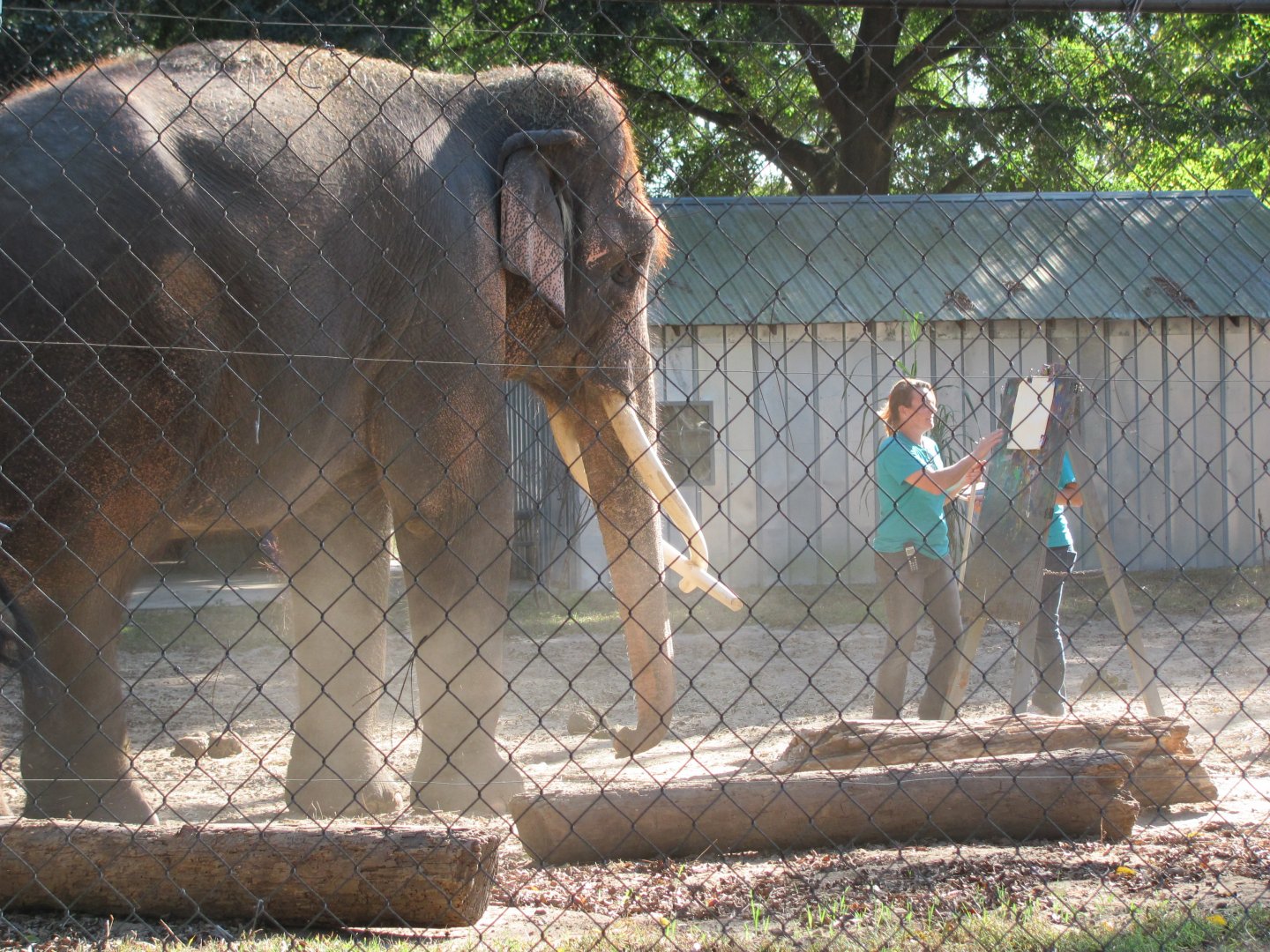 Luke Getting Ready To Paint November 2010
