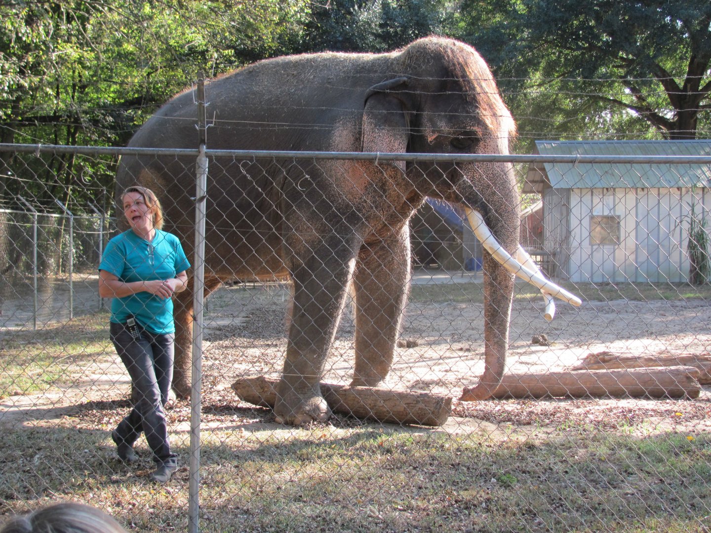 Luke Log Demonstration November 2010