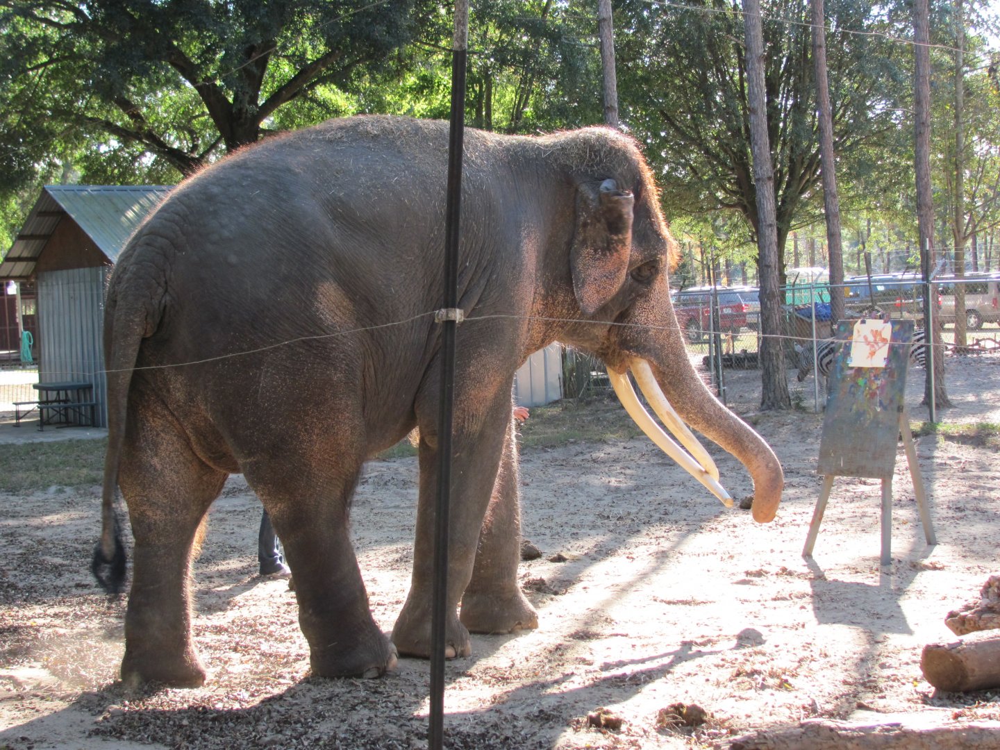 Luke Painting 1 November 2010