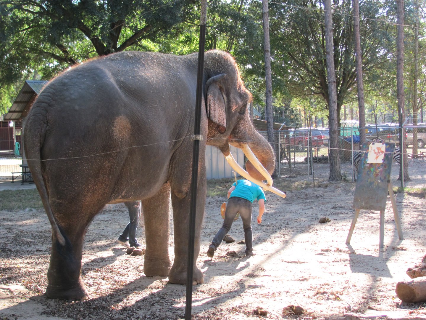 Luke Painting 2 November 2010