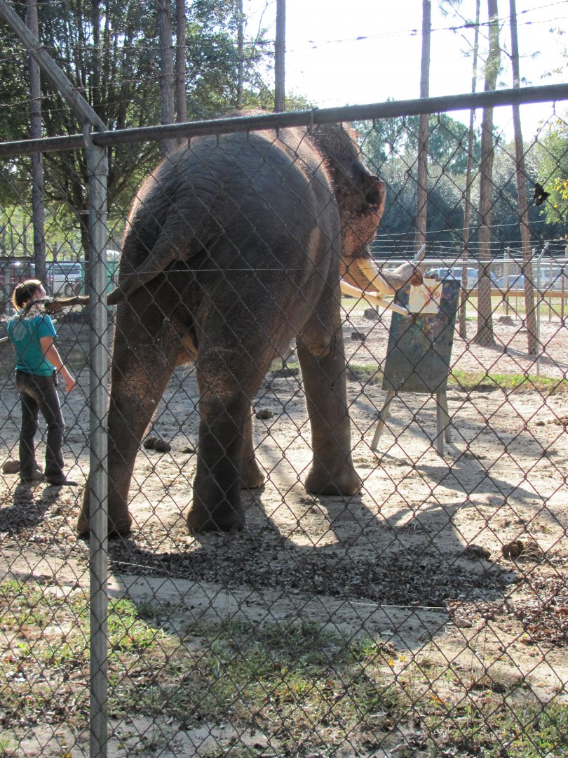 Luke Painting 3 November 2010