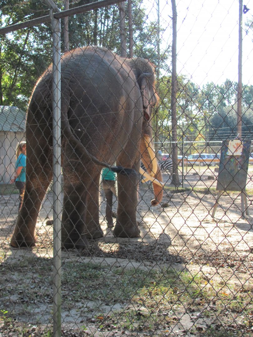 Luke Painting 4 November 2010