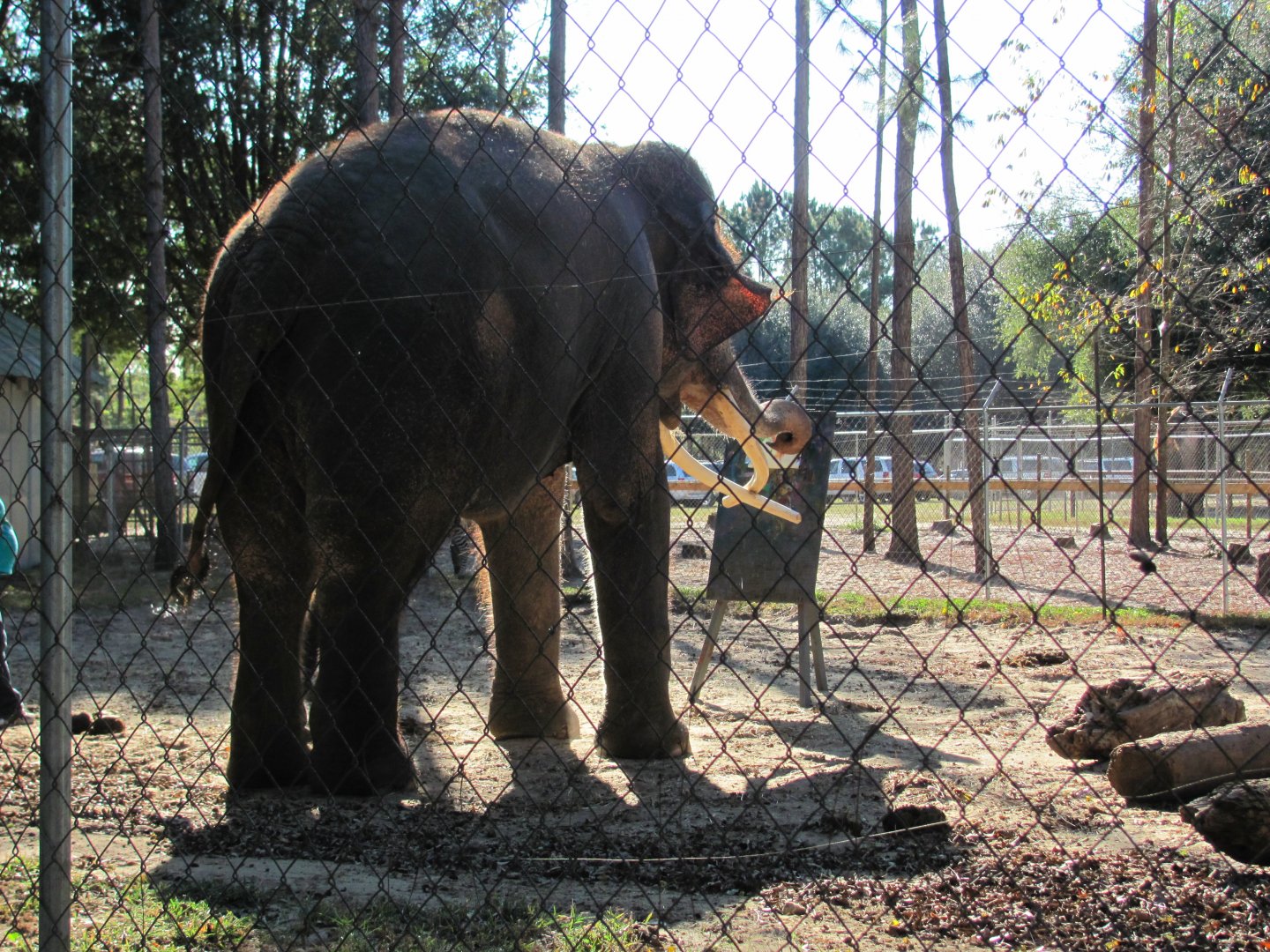 Luke Painting 5 November 2010