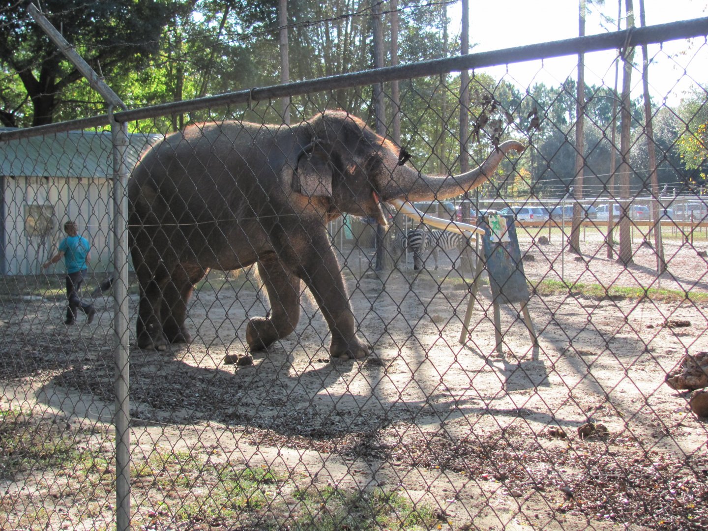Luke Painting 6 November 2010