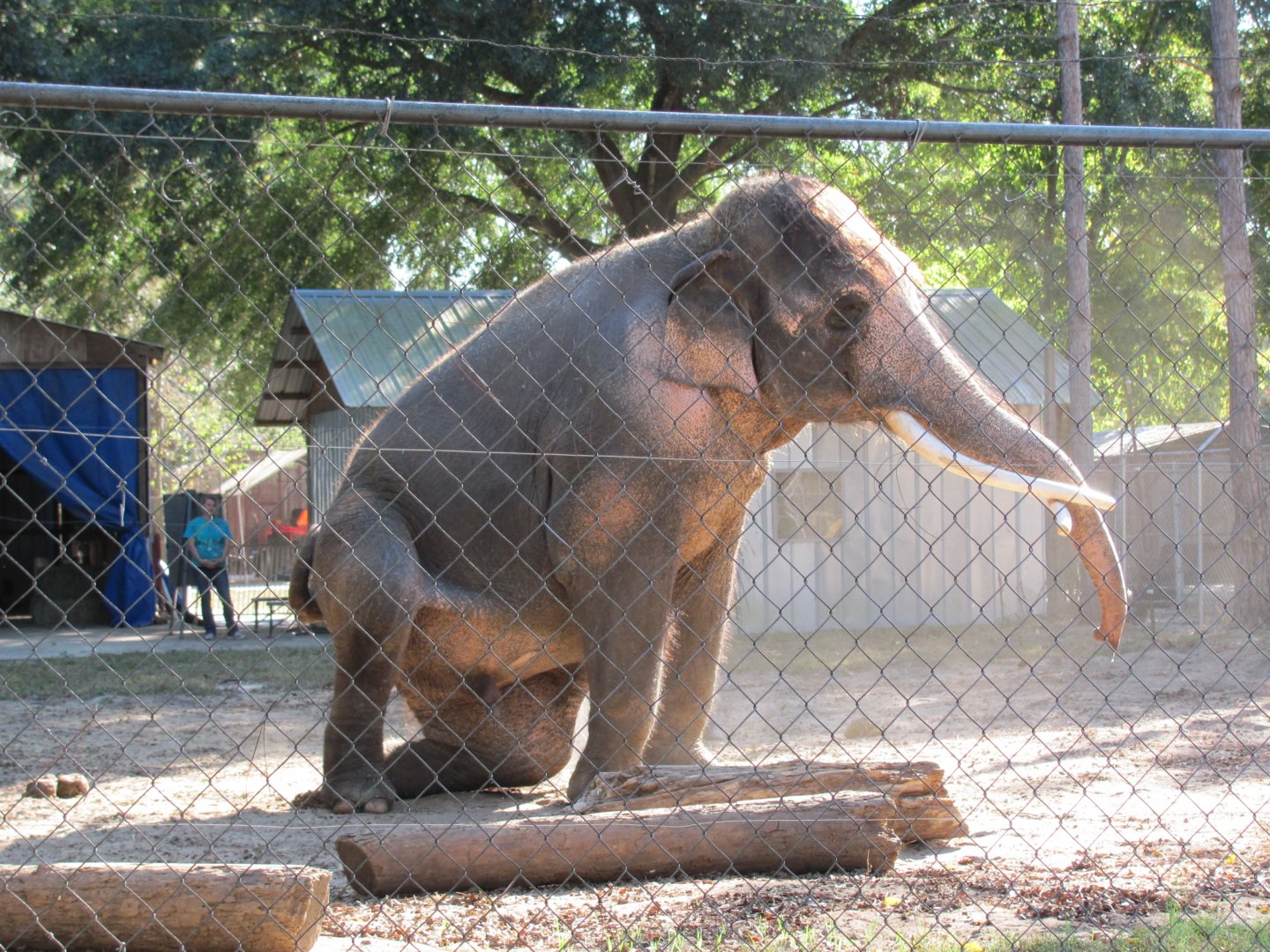 Luke Performing 1 November 2010