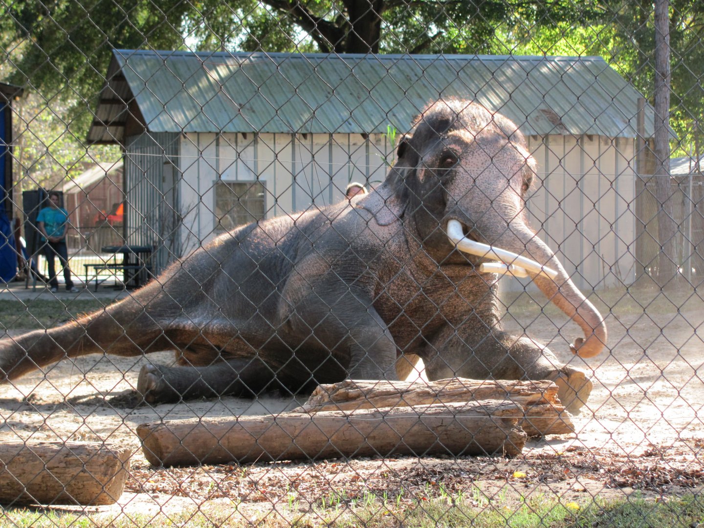 Luke Performing 2 November 2010