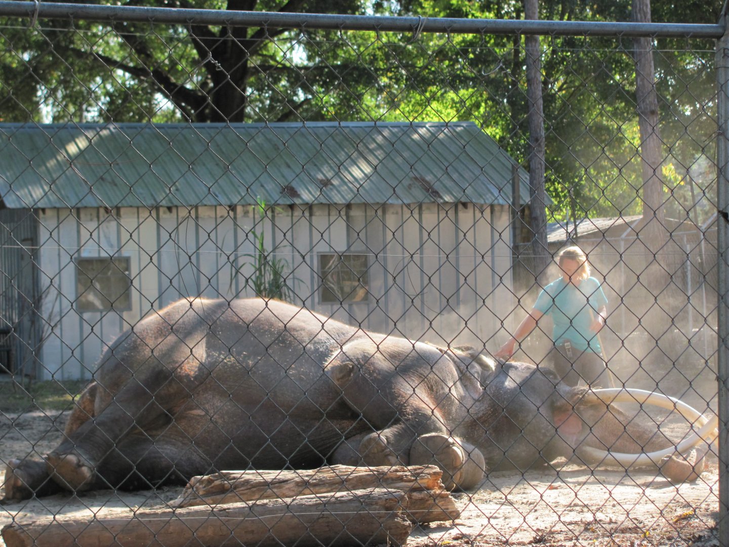 Luke Performing 3 November 2010