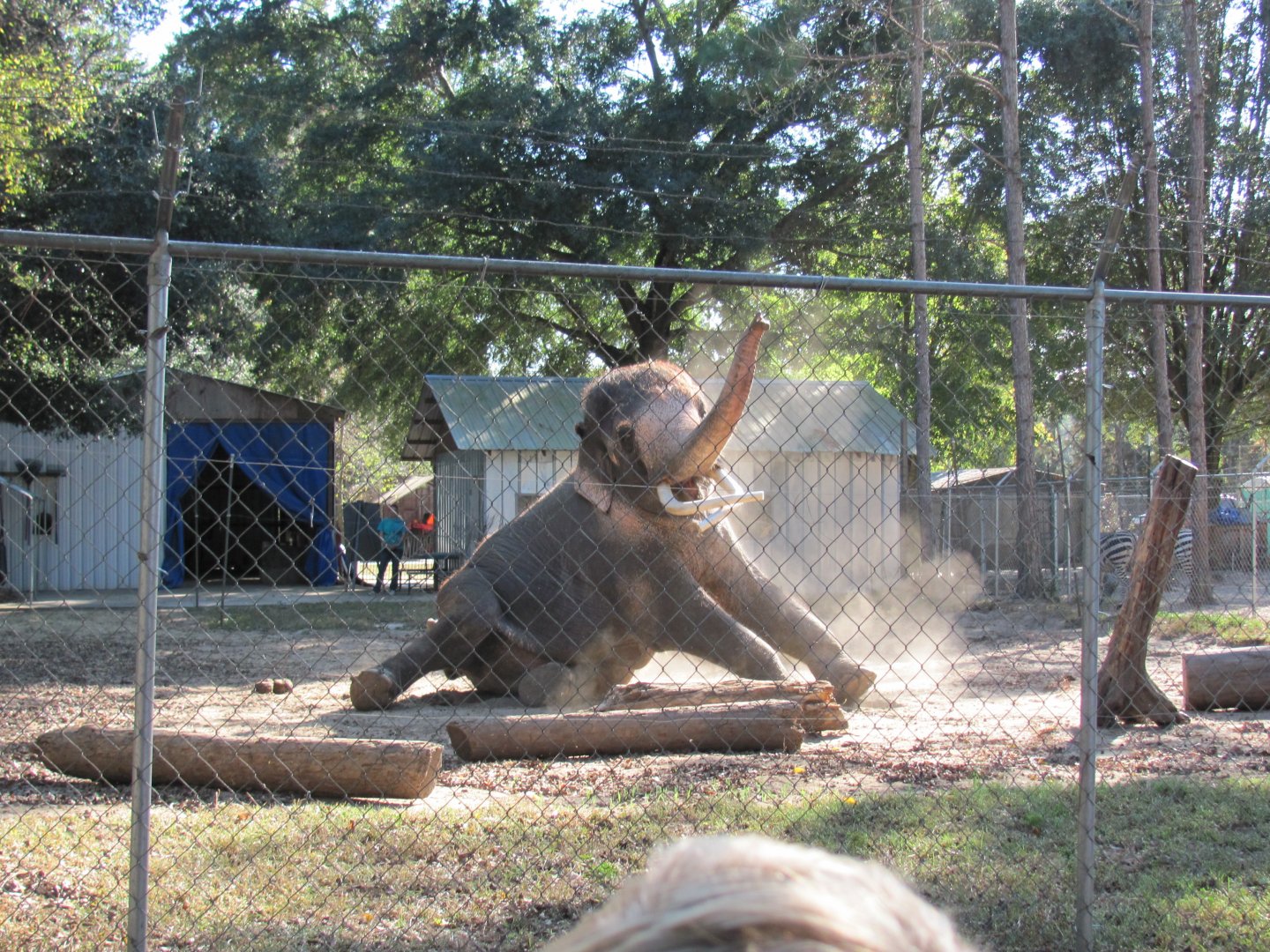 Luke Performing 4 November 2010
