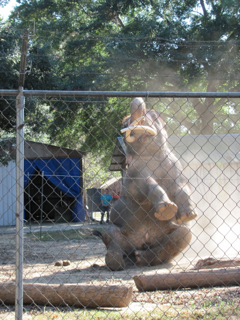 Luke Performing 5 November 2010