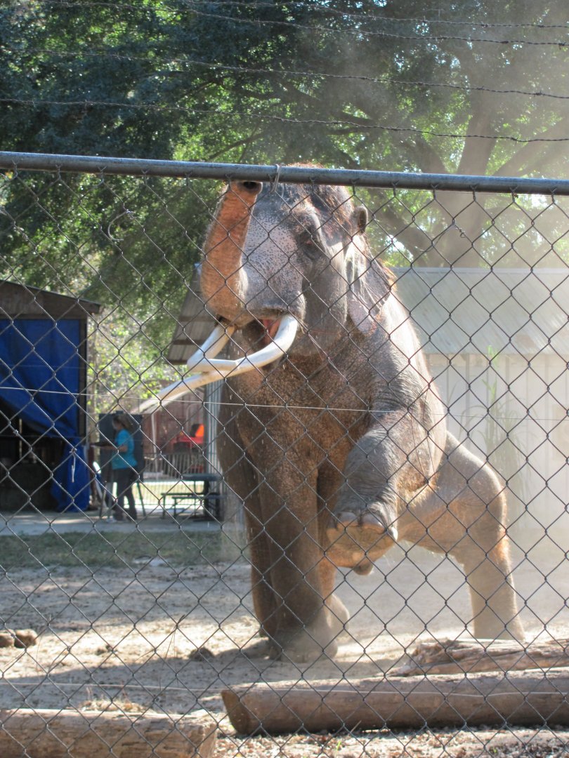 Luke Performing 6 November 2010