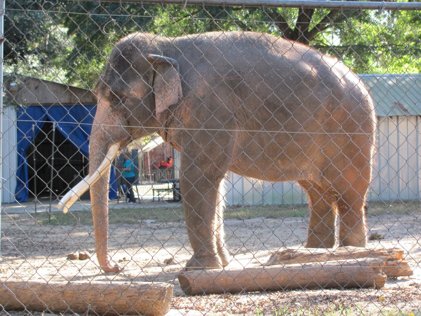 Luke Side View November 2010