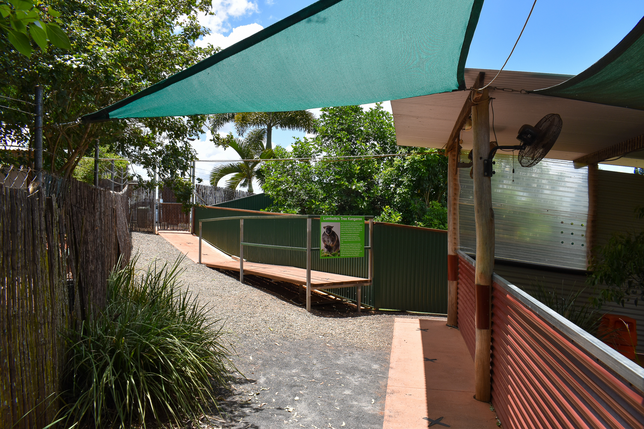 Lumholtz's Tree-Kangaroo Enclosure