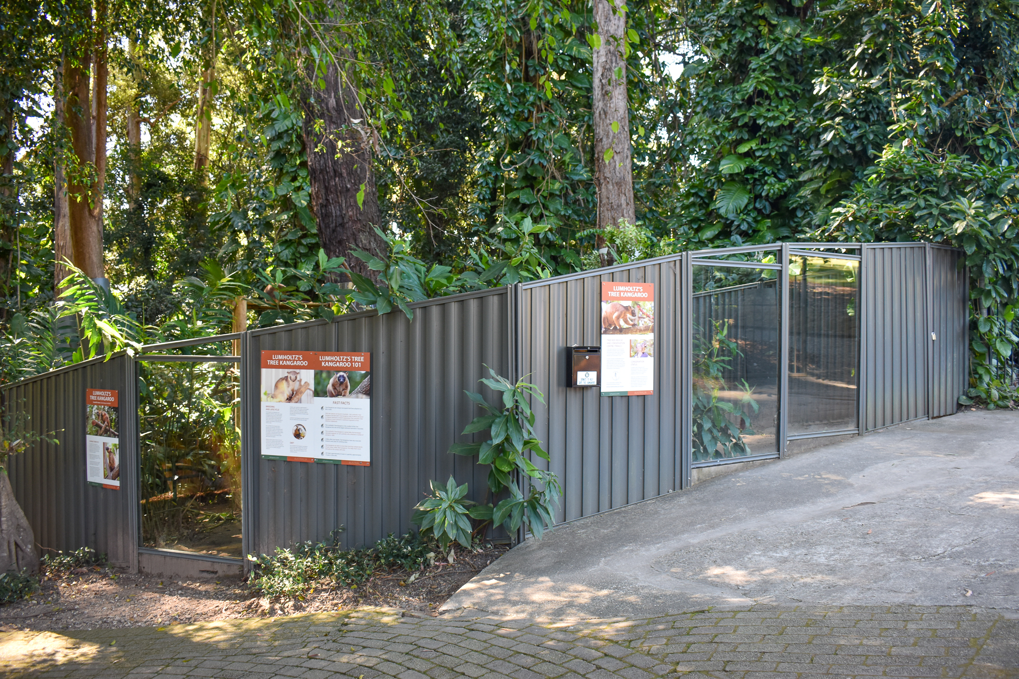 Lumholtz's Tree-Kangaroo Enclosure