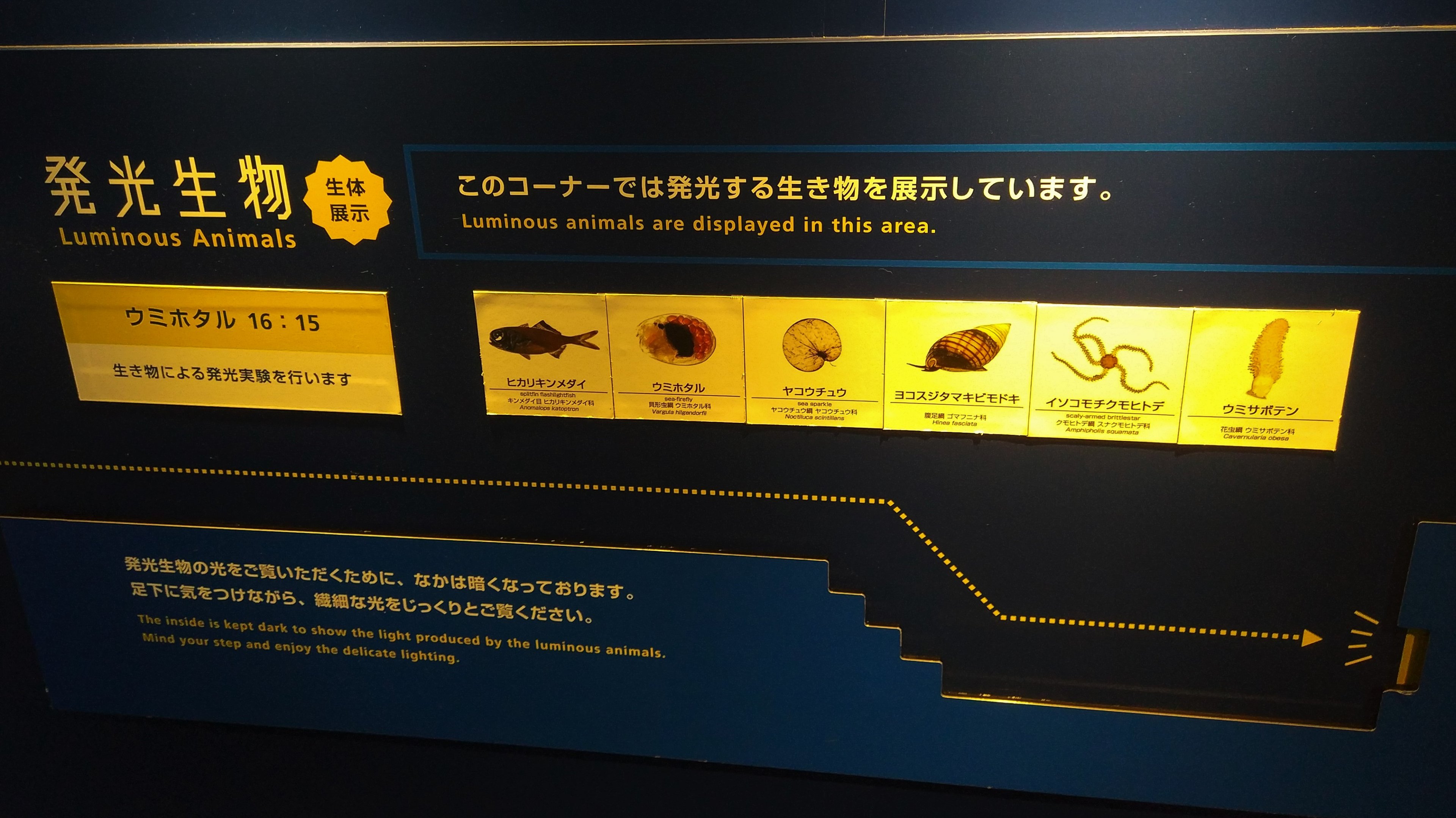 Luminous Animals Signage