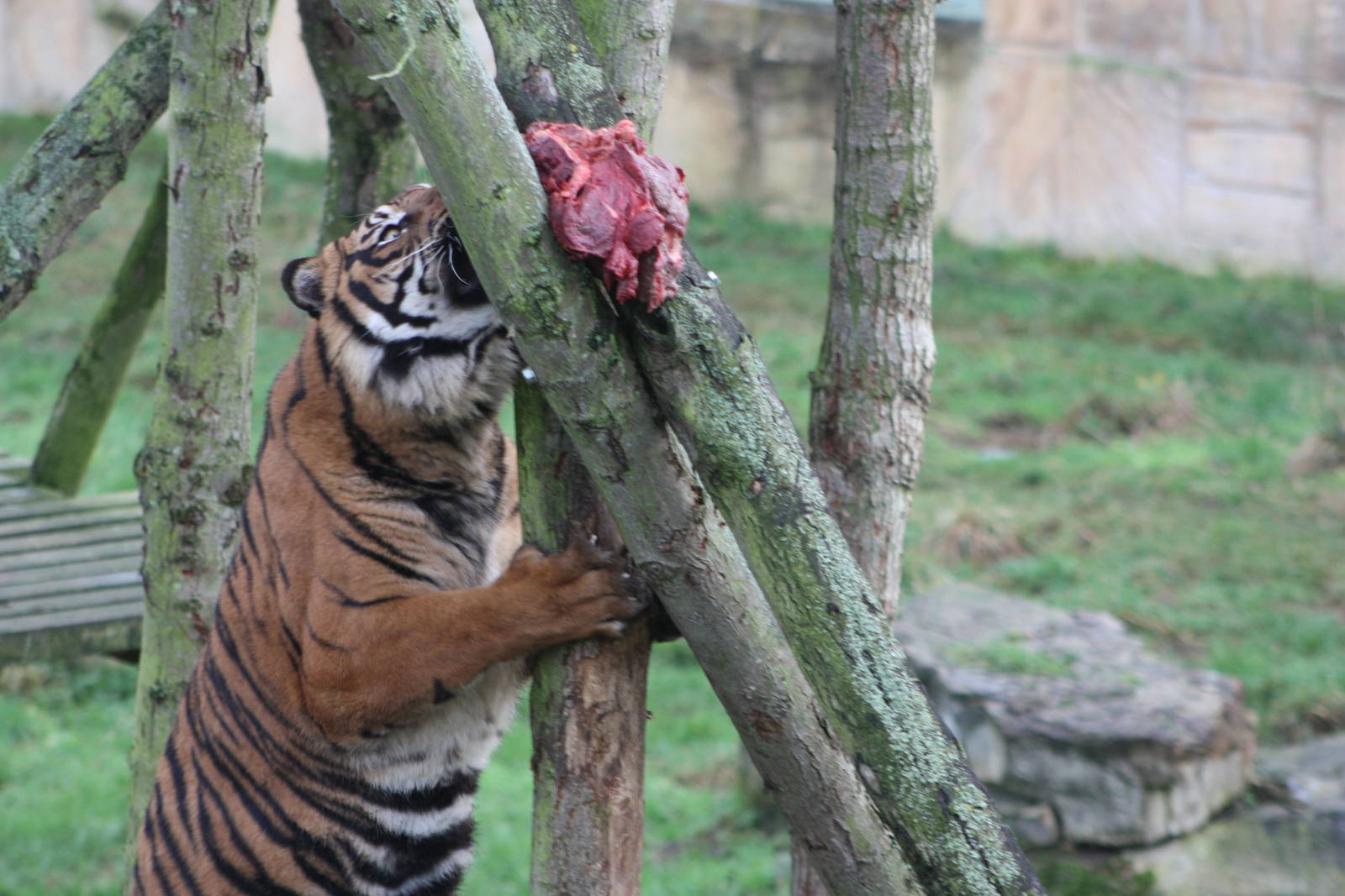 Lunch for Bawa, 27th December 2014