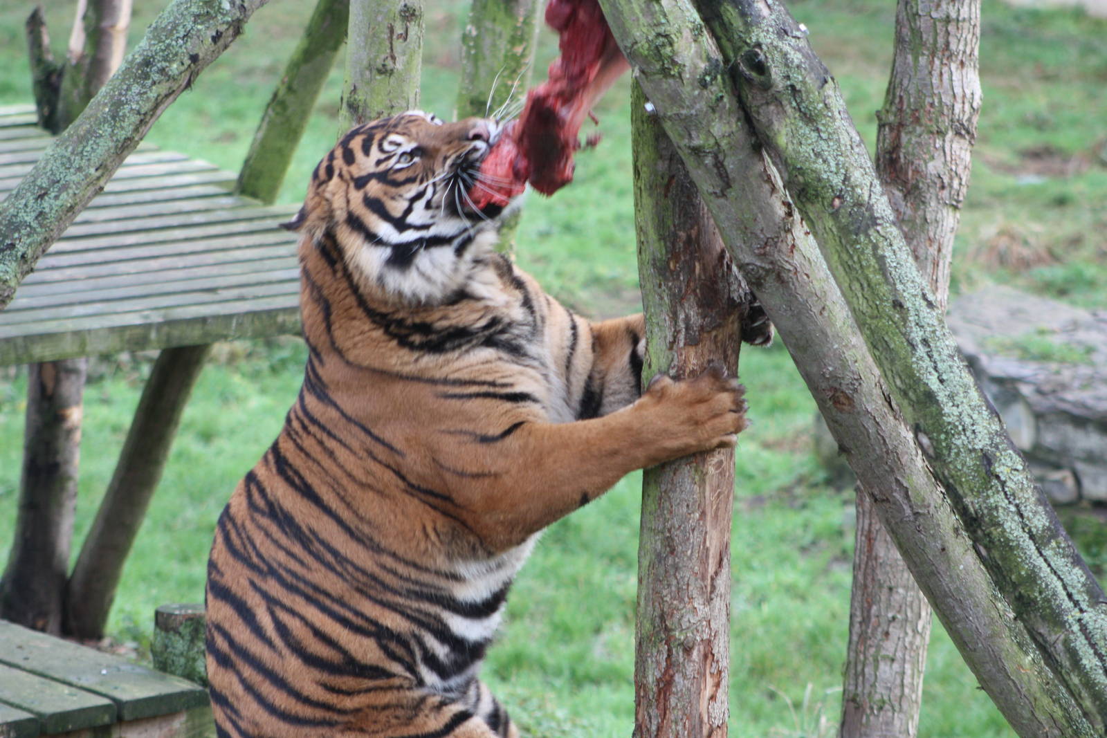 Lunch for Bawa, 27th December 2014