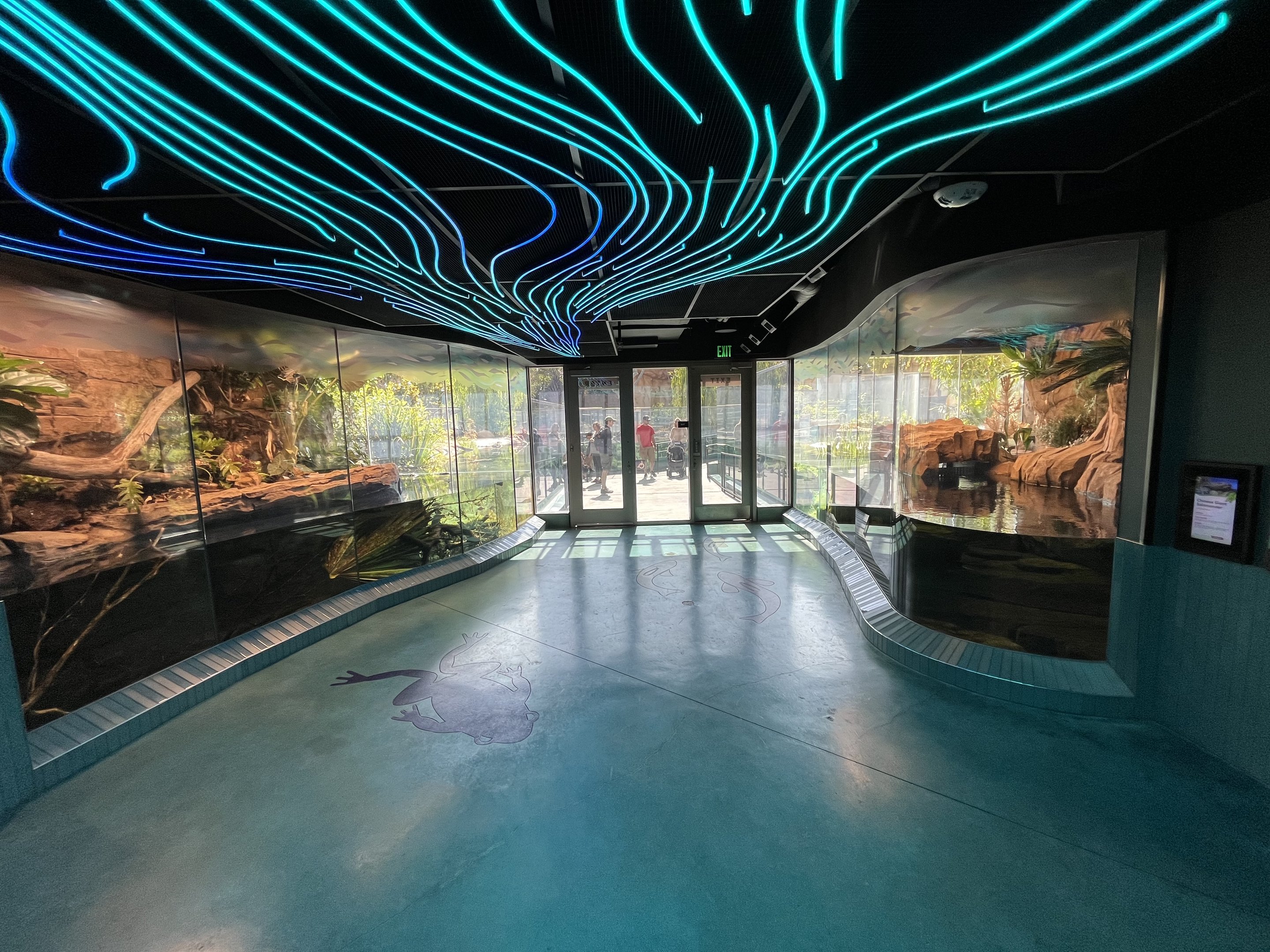 Lungfish + Chinese Giant Salamander Exhibits