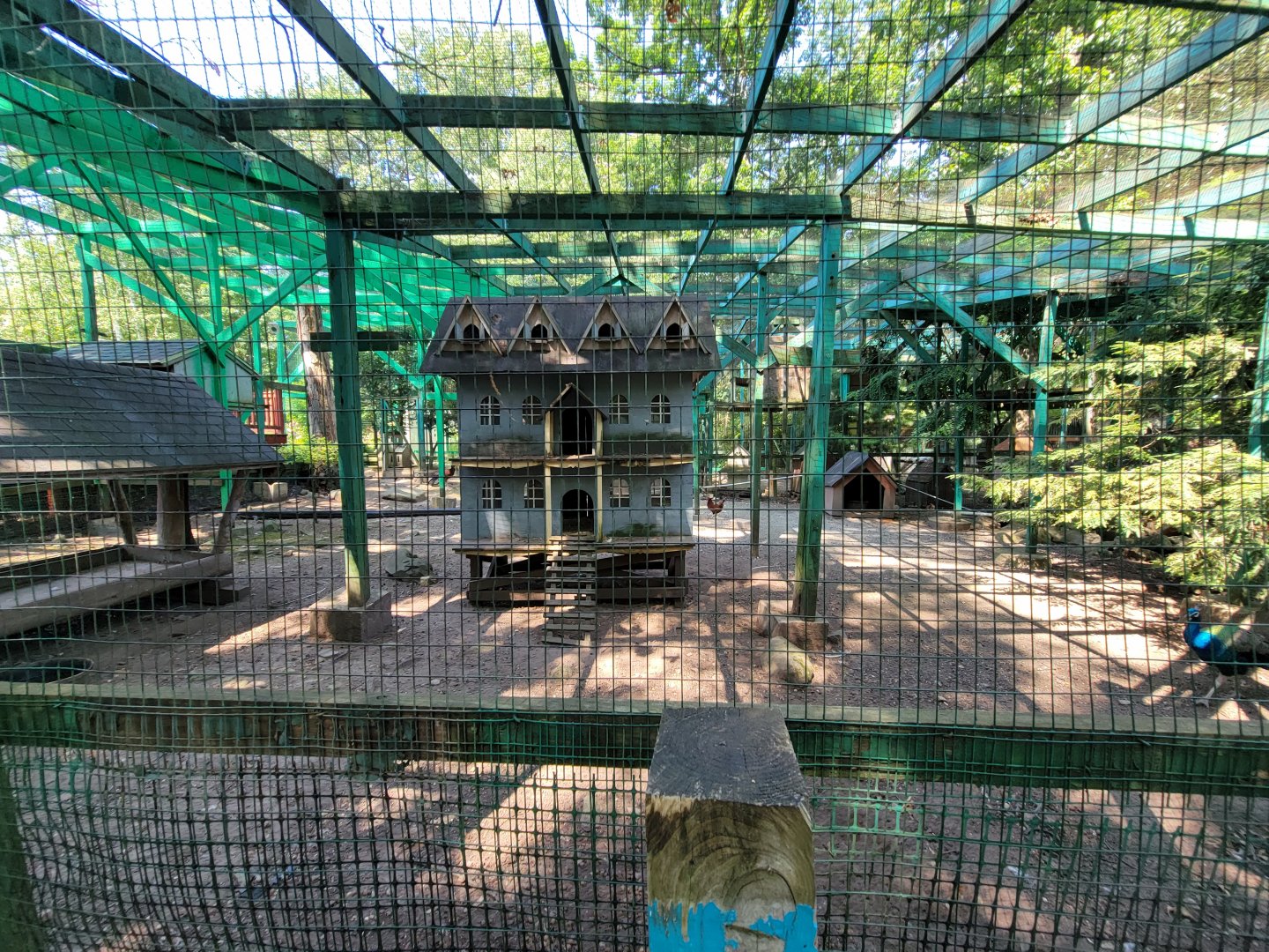 Lupa Zoo - A bird house that has seen some things