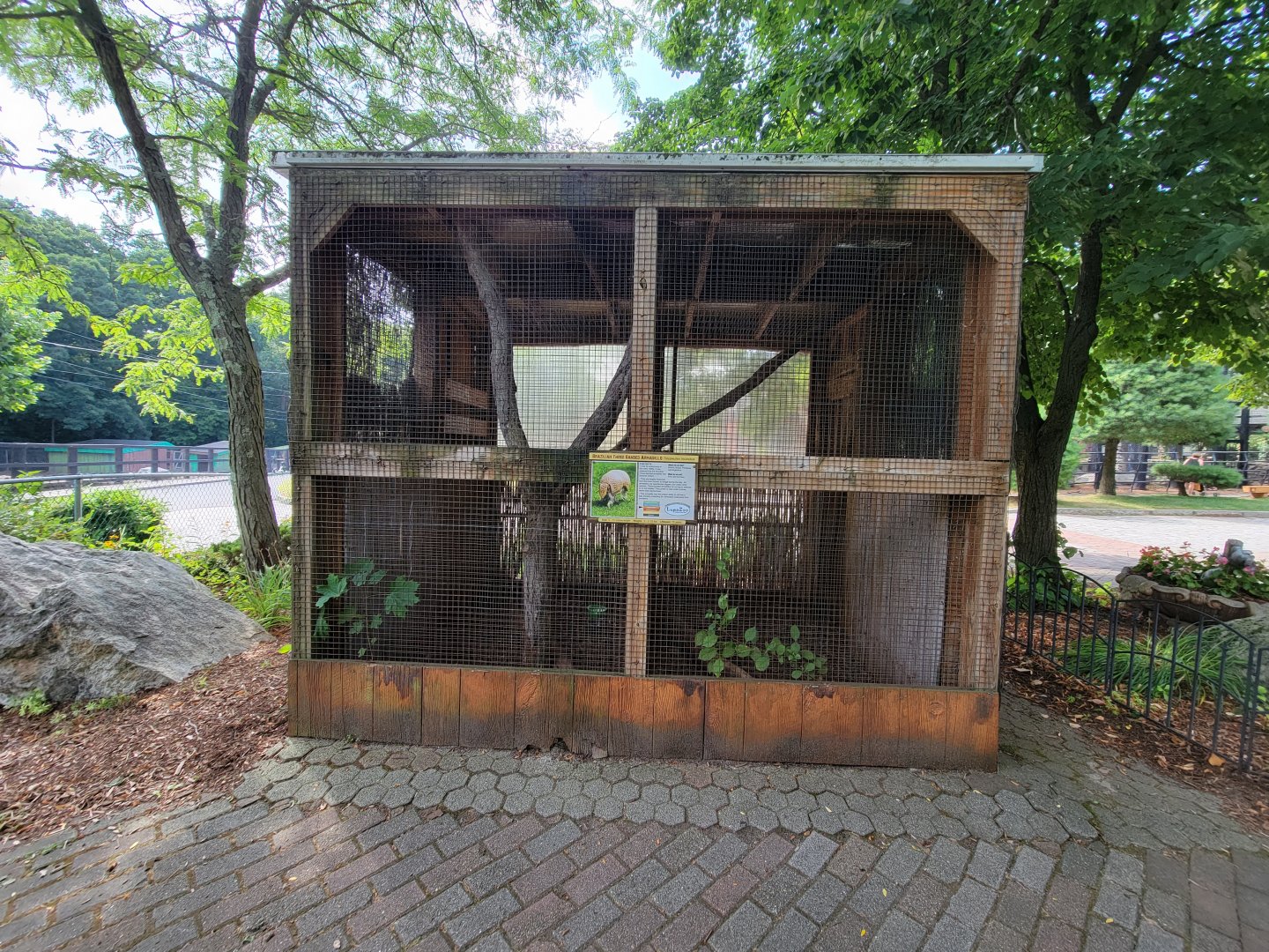 Lupa Zoo - Armadillo