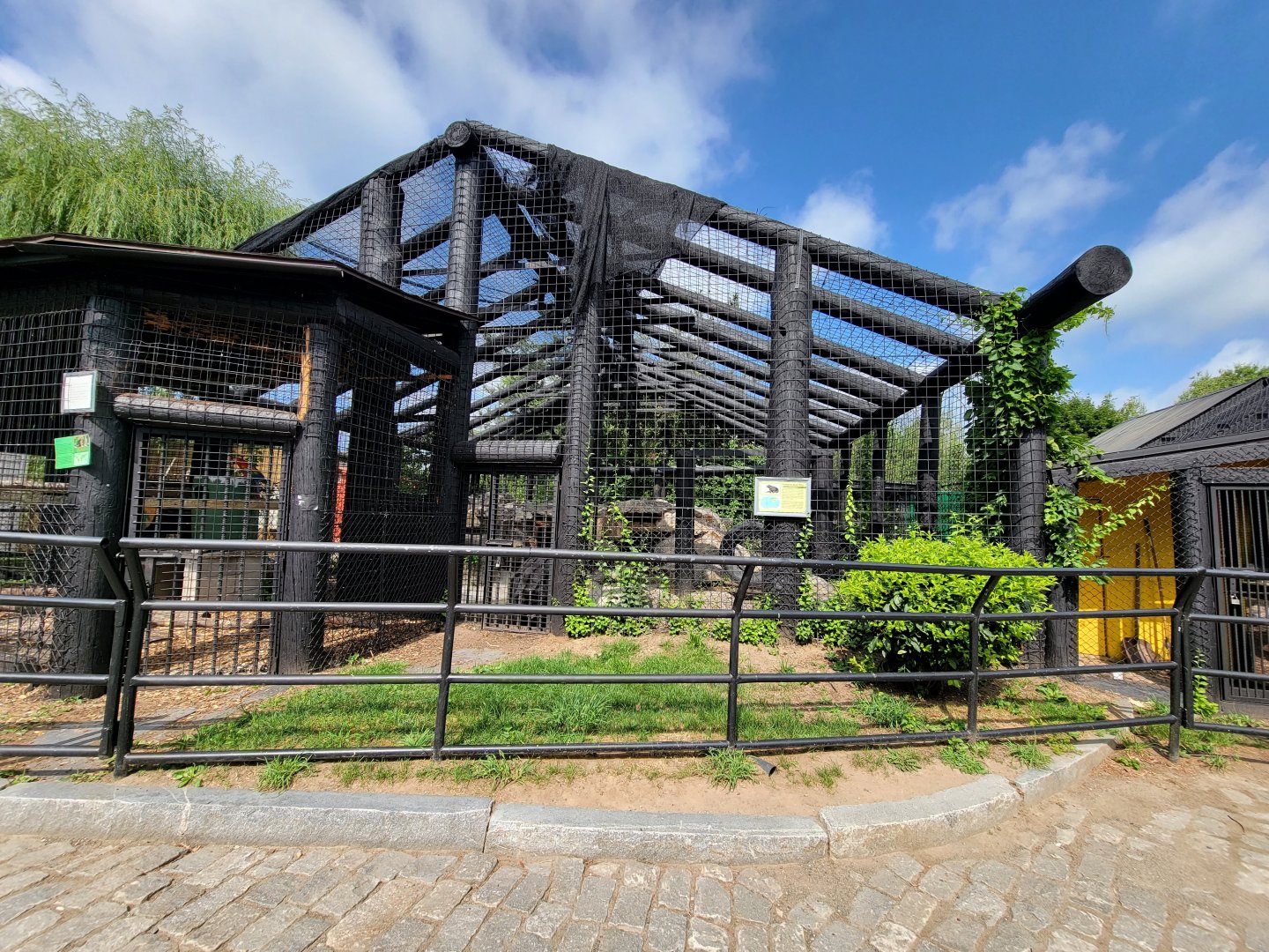 Lupa Zoo - Asiatic black bear