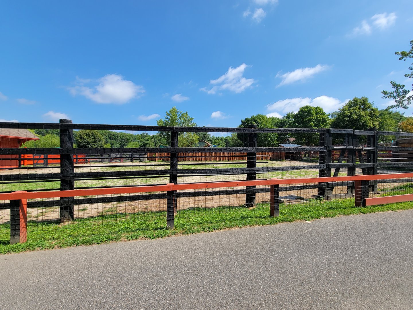Lupa Zoo - Bactrian camel (empty)
