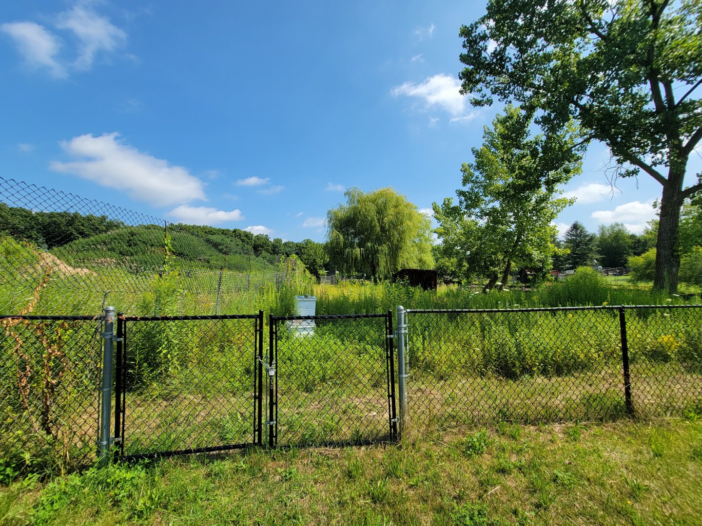 Lupa Zoo - Bee hives