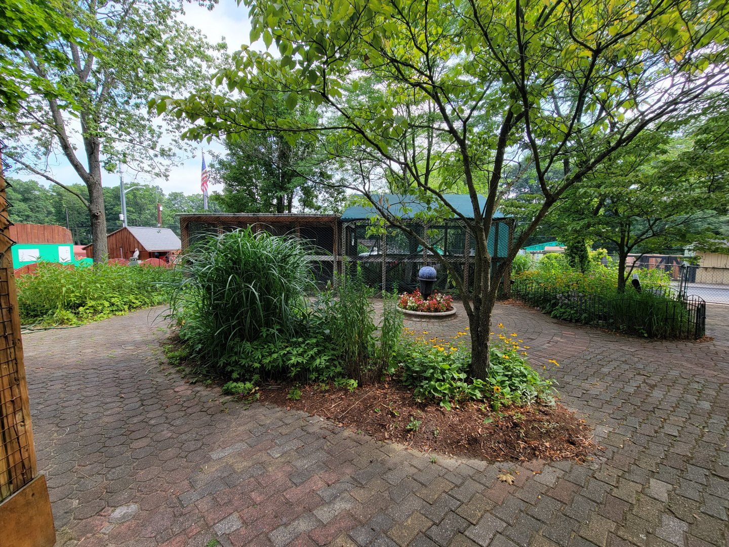 Lupa Zoo - Binturong