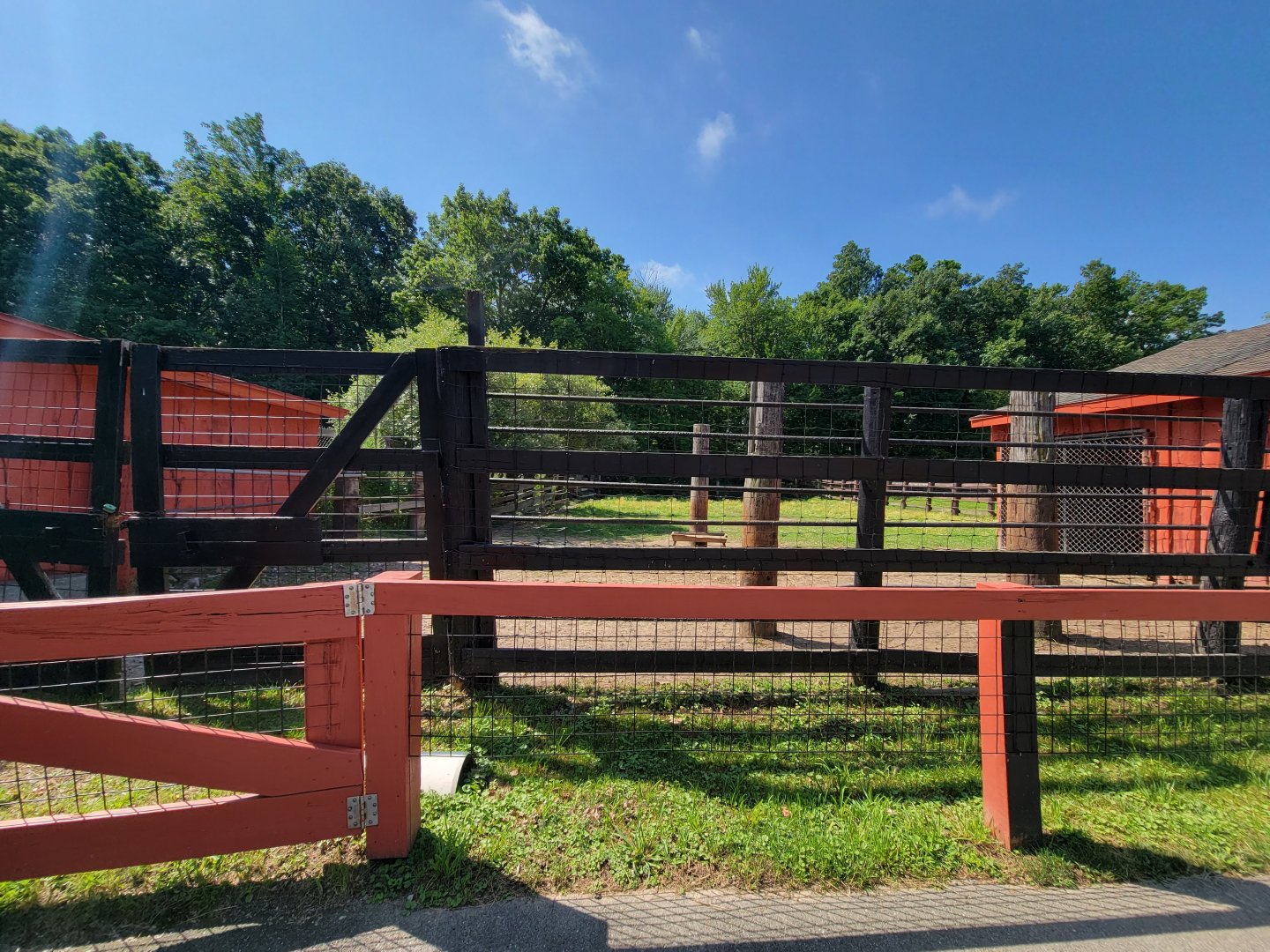Lupa Zoo - Bison (didn't see)