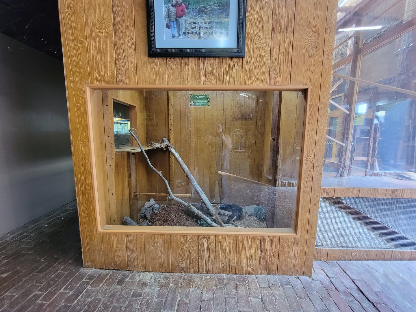 Lupa Zoo - Boa constrictor