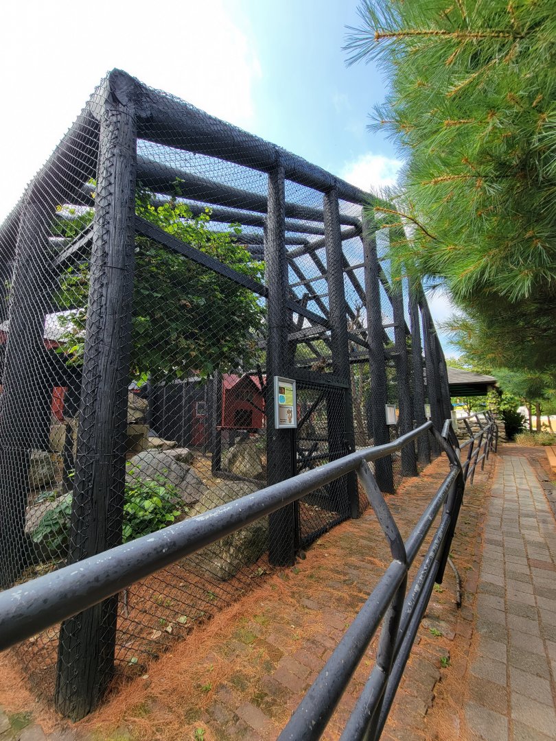 Lupa Zoo - Common brown lemur