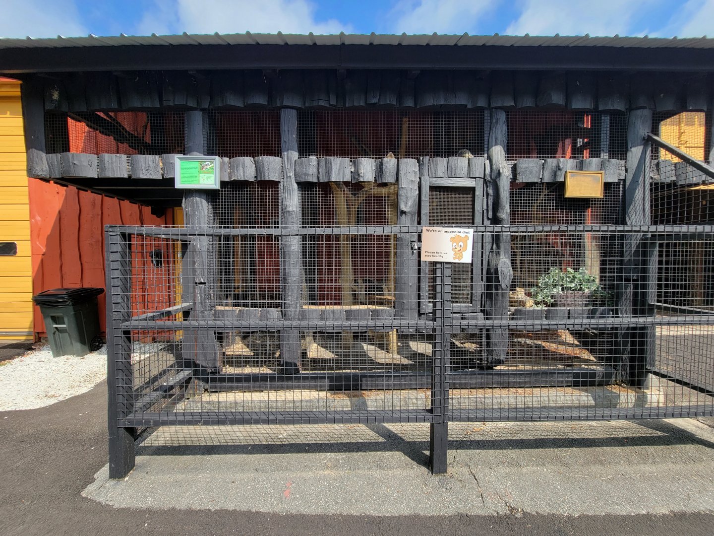 Lupa Zoo - Common marmosets, signed as cotton-top