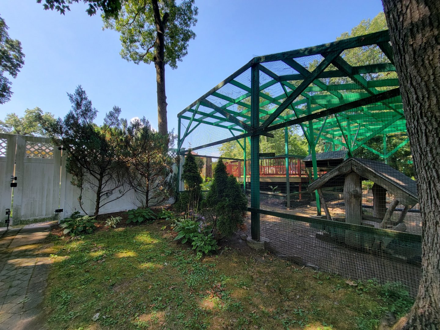 Lupa Zoo - Corner of zoo / someone's backyard