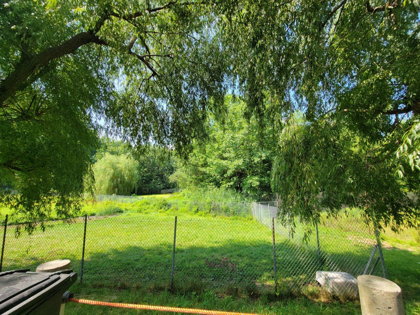 Lupa Zoo - Far corner of tapir and capybara yard