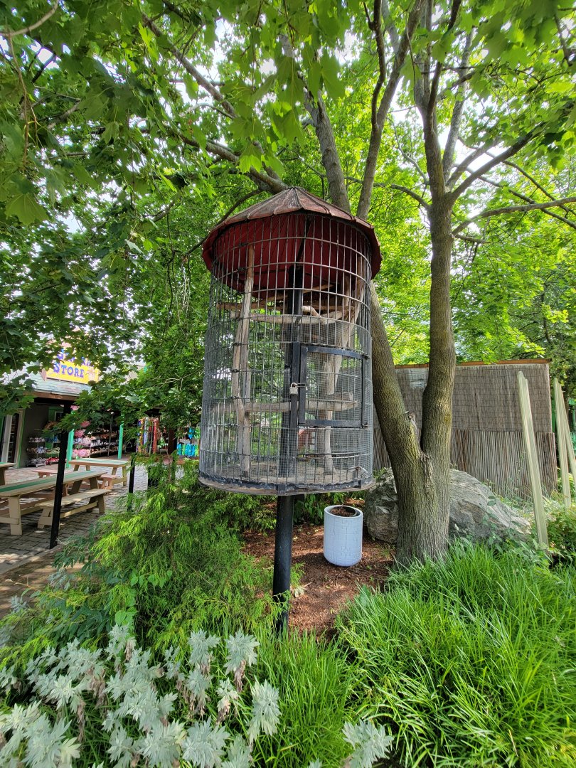 Lupa Zoo - Former (I hope?) bird holding