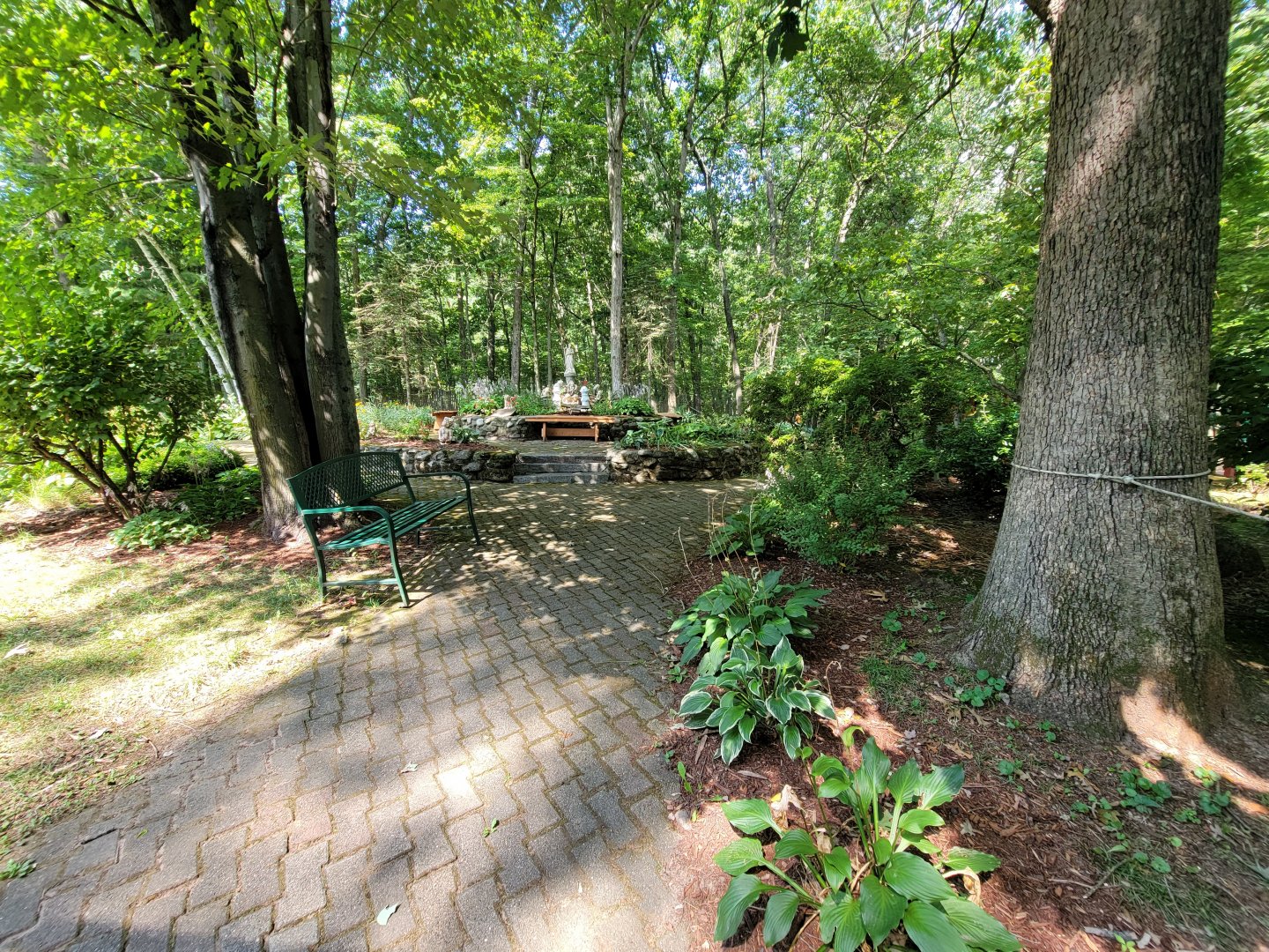 Lupa Zoo - Garden area