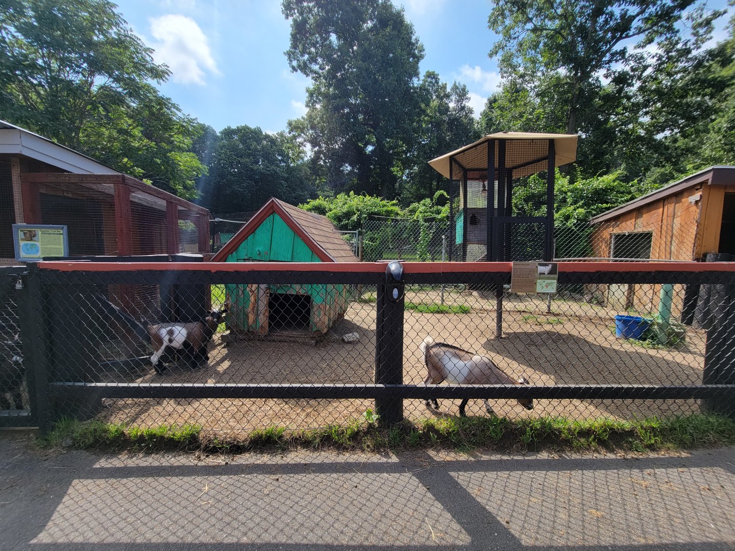 Lupa Zoo - Goats, more empty-looking cages